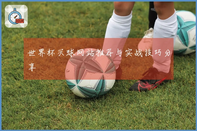 世界杯买球网站推荐与实战技巧分享