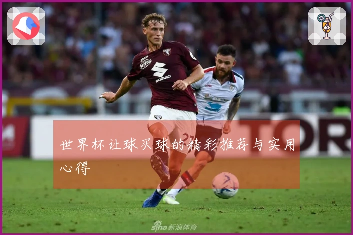 世界杯让球买球的精彩推荐与实用心得