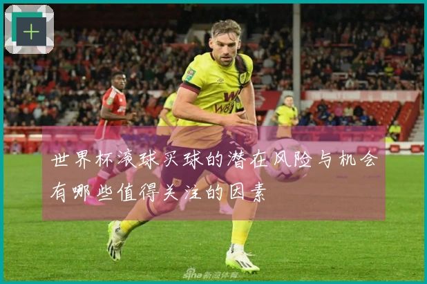 世界杯滚球买球的潜在风险与机会有哪些值得关注的因素