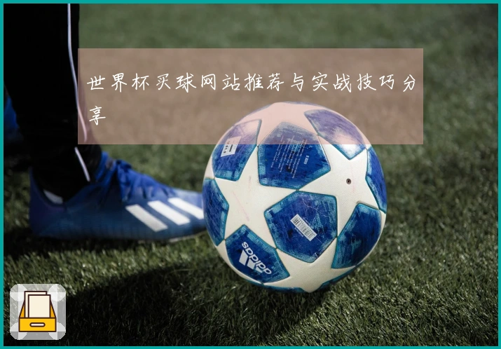 世界杯买球网站推荐与实战技巧分享