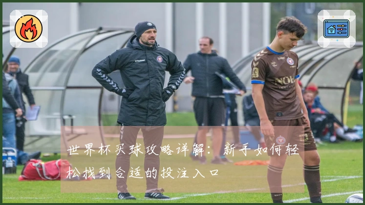 世界杯买球攻略详解：新手如何轻松找到合适的投注入口