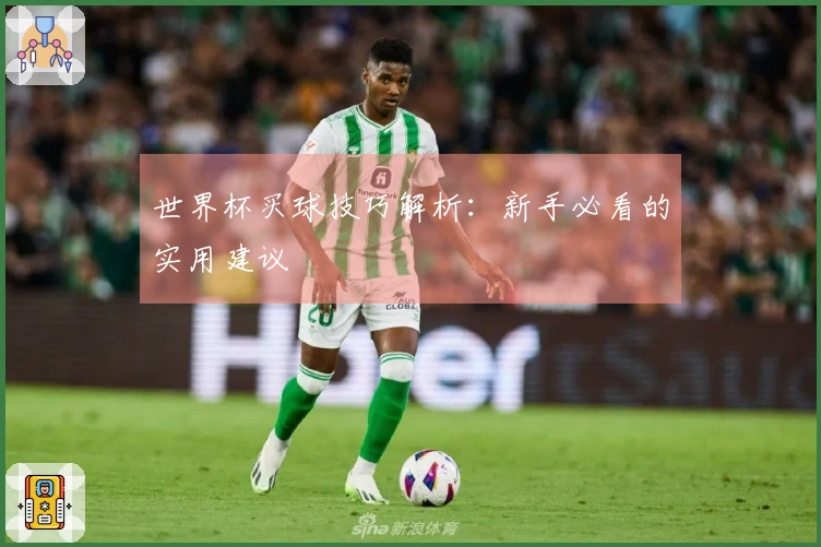 世界杯买球技巧解析：新手必看的实用建议