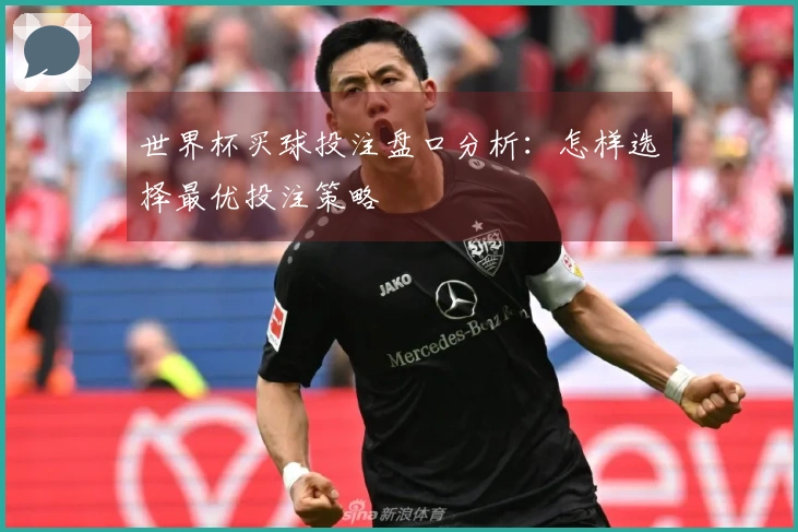 世界杯买球投注盘口分析：怎样选择最优投注策略