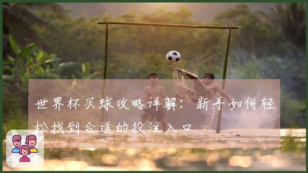世界杯买球攻略详解：新手如何轻松找到合适的投注入口