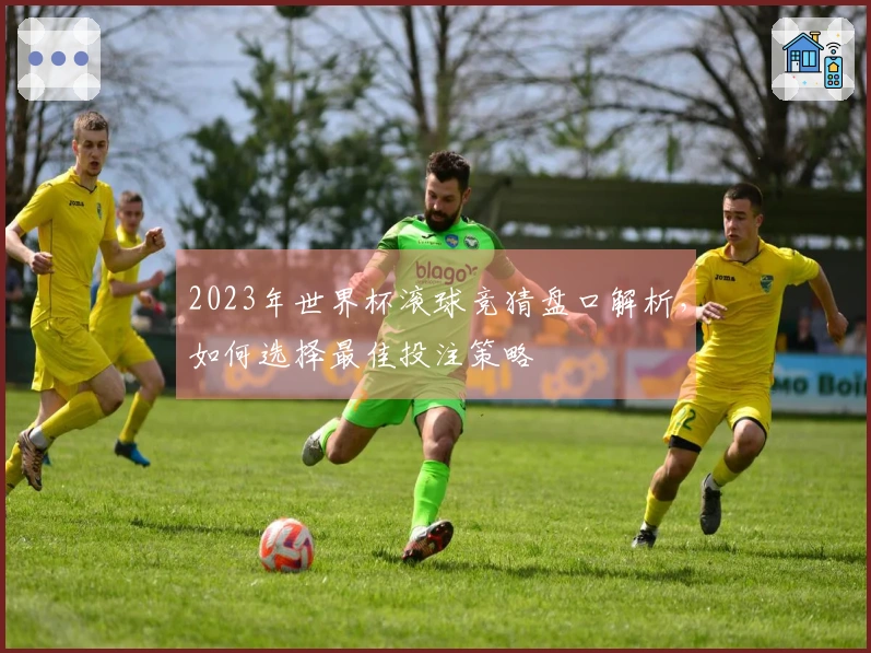 2023年世界杯滚球竞猜盘口解析，如何选择最佳投注策略