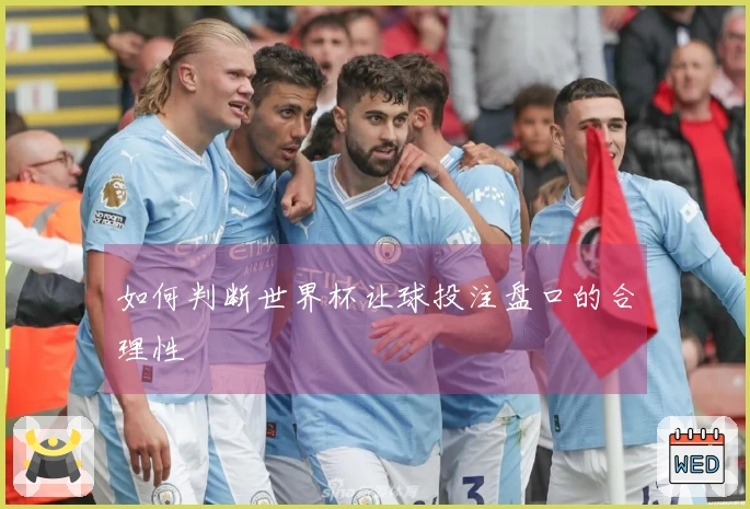如何判断世界杯让球投注盘口的合理性