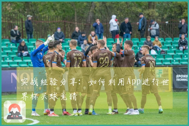 实战经验分享：如何利用App进行世界杯买球竞猜